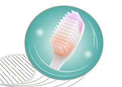 Silicone toothbrush