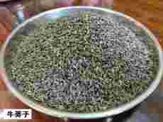 Chinese medicinal herbs Burdock seed